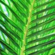 Tropical Foliage Art Print