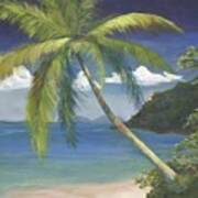 Tropical Palm Art Print