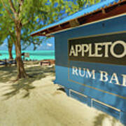 Tropical Rum Bar Art Print
