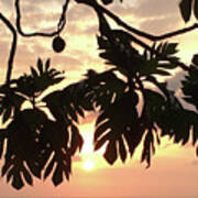 Tropical Sunset Silhouette Art Print