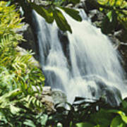 Tropical Waterfall Art Print