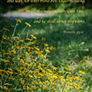 Trust In The Lord- Blackeyed Susans Art Print