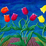 Tulip Tango Art Print