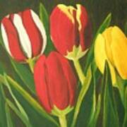 Tulip Time Art Print