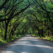 Tunnel On Botany Bay Art Print