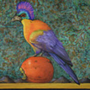 Turaco On A Persimmon Art Print