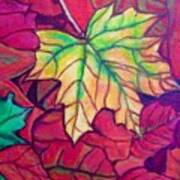 Turning Maple Leaf In The Fall Art Print