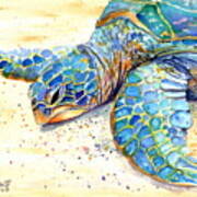 Turtle At Poipu Beach 4 Art Print
