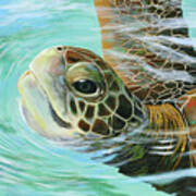 Turtle Up Art Print