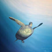 Turtle's Glory Art Print