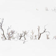 Twigs In Snow Art Print