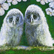 Two Baby Owls Art Print