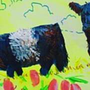 Two Belted Galloway Cows Looking At You Art Print