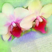 Two Orchids Reading A Letter Art Print