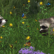 Two Raccoons  With Butterflys Art Print