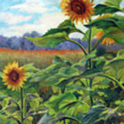 Two Sunflowers Art Print