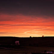 Two Trees And A Red Sunset Art Print