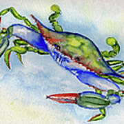 Tybee Blue Crab 2 Art Print