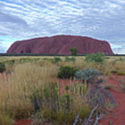 Uluru - Australia Art Print