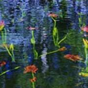 Underwater Lilies Art Print