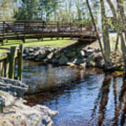 Unicorn Lake Pedestrian Bridge Art Print