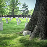 Unkown And Tree At Arlington Cemetery Art Print