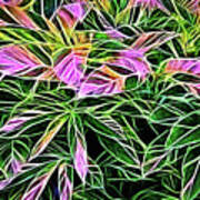 Variegated Leaves Pink And Green Art Print