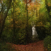 Venus Of The Woodland Art Print