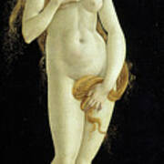 Venus Art Print