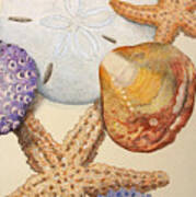 Vertical Starfish Art Print