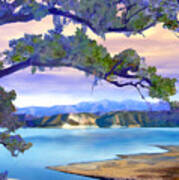 View From Mohawk  Lake Cachuma Art Print