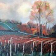 Vineyard Art Print