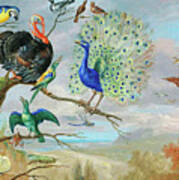Vintage Birds Painting Art Print
