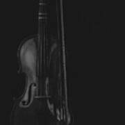Violin Portrait Music 16 Black White Art Print