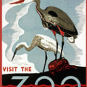 Visit The Zoo Egrets Art Print