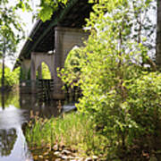 Waccamaw Memorial Bridge By The Riverbank In May Art Print