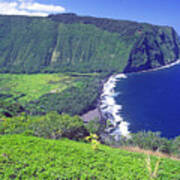 Waipio Valley, Big Island, Hawaii Art Print