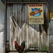 Waiting For Watson Art Print