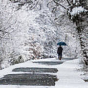 Walk In The Woods In The Snow, Gaithersburg Art Print