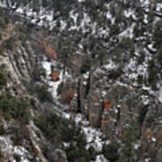 Walnut Canyon In Flagstaff In Winter 4 Art Print