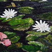 Water Lilies I Art Print