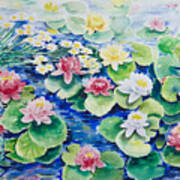 Water Lilies Art Print