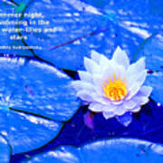 Water Lilly Blue Art Print