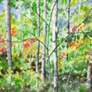 Watercolor - Northern Forest Art Print