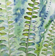 Watercolor - Rainforest Fern Impressions Art Print