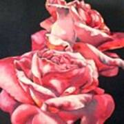 Watercolor Rose 2 Art Print
