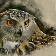 Watercolour Painting Of Beautiful Portrait Of European Eagle Owl Bubo Bubo Art Print