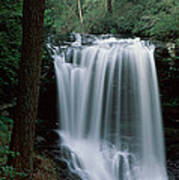 Waterfall In A Forest, Dry Falls Art Print