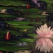 Waterlilies - Original Sold Art Print