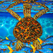 West Indian Hawksbill Sea Turtle Art Print
